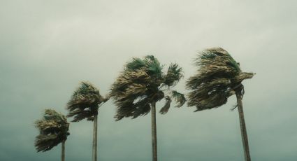 Ciclón Adrián: estos son todos los estados que afectará