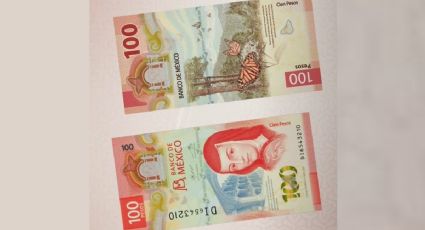 Ofrecen 5500 pesos por este billete de 100 con este particular número de serie