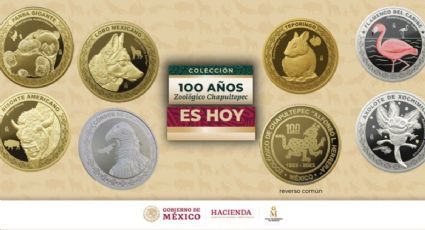 Ofrecen más de 3,000 pesos por la moneda conmemorativa del ajolote mexicano