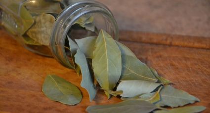 Feng Shui: haz este ritual con hojas de laurel para atraer la buena fortuna