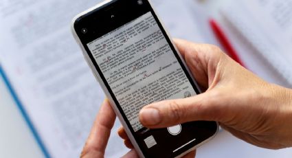 El paso a paso para traducir un texto en Android sin Google translator