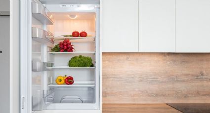 ¿Cuáles son los alimentos que debes guardar en tu refrigerador y no sabías?