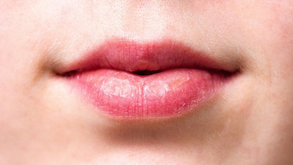 Labios. Fuente: Pixabay.