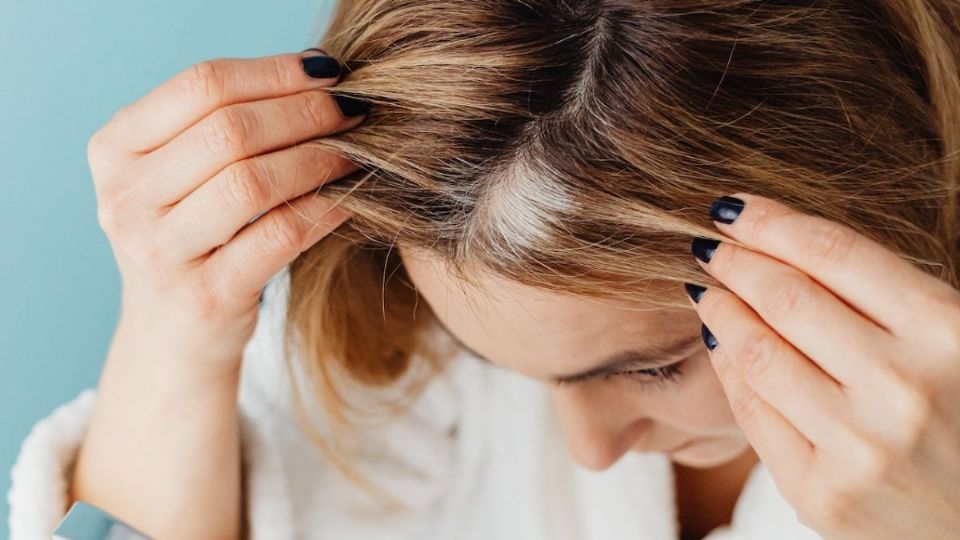 Conoce los diferentes tipos de shampoo que puedes utilizar para mantener sano tu cabello canoso.