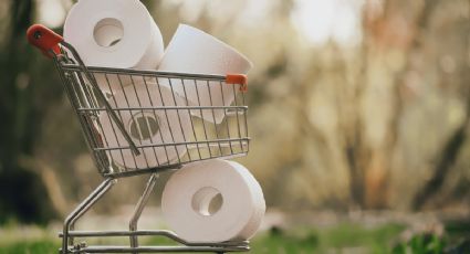 Estas son las marcas de papel higiénico para personas de clase alta