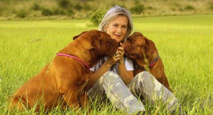 Las razas de perros que cuidarán de ti, tu familia y tu casa porque son guardianes