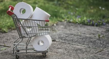 ¿Por qué se deben recolectar los rollos de papel higiénico?