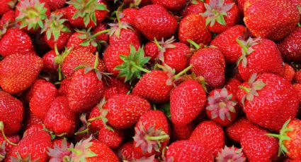 ¿Qué son los puntitos que tienen las fresas?