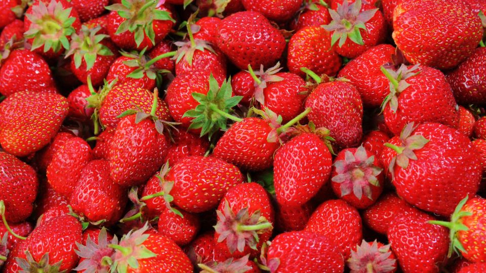 Fresas. Fuente: Canva.