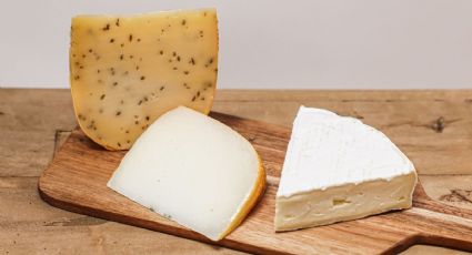 ¿Cuáles son las peores marcas de queso panela, según Profeco?