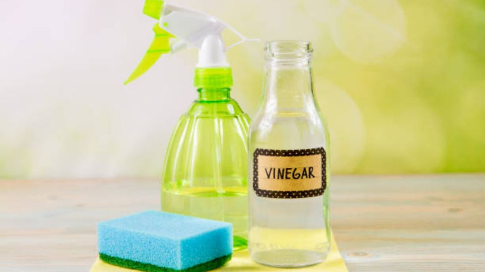 Vinagre blanco para dejar tu baño reluciente. Fuente: Pexels.