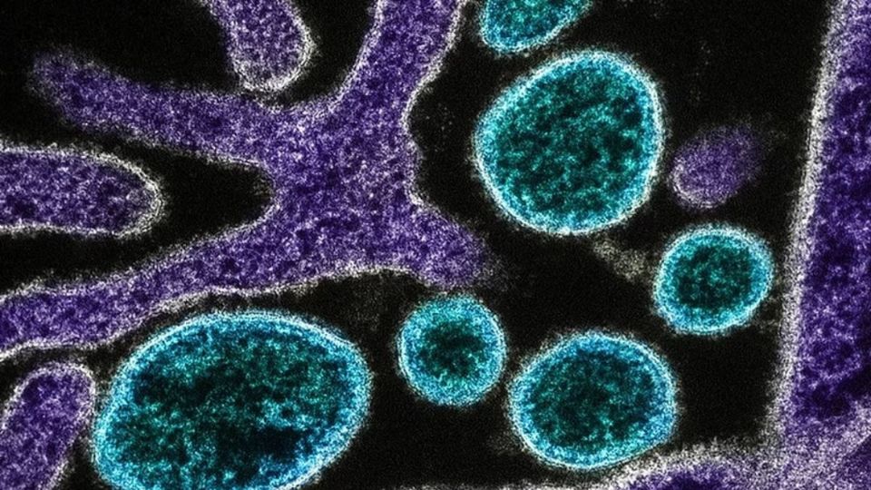 Un nuevo virus mantiene en alerta a una buena parte de Asia.