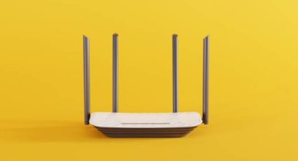 ¿Qué pasa si colocas una planta cerca del Wi-Fi?